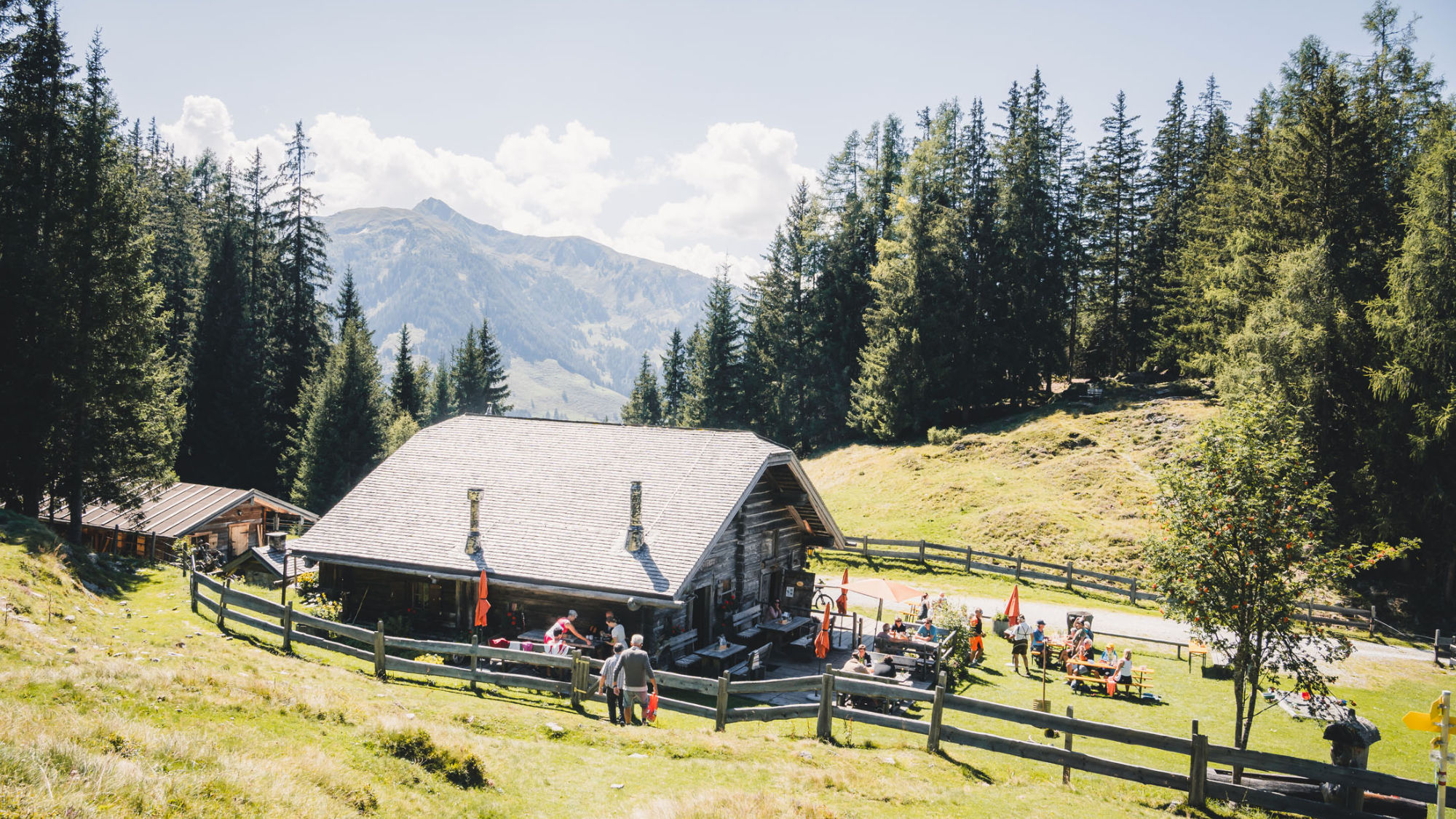 Kapelleralm in Embach