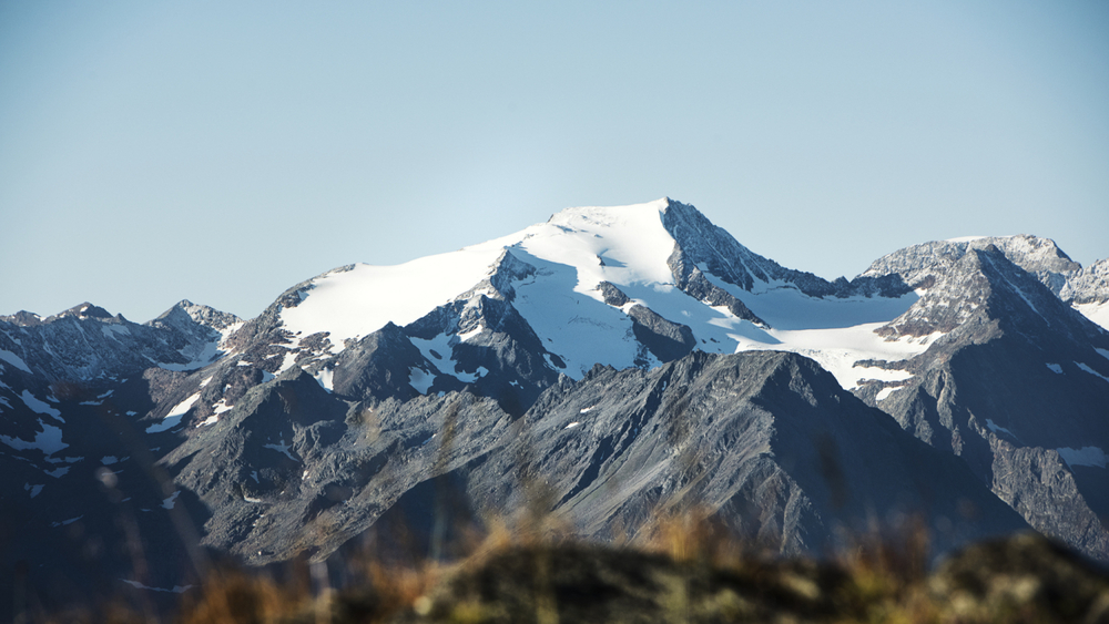 Wilder Freiger im Stubaital