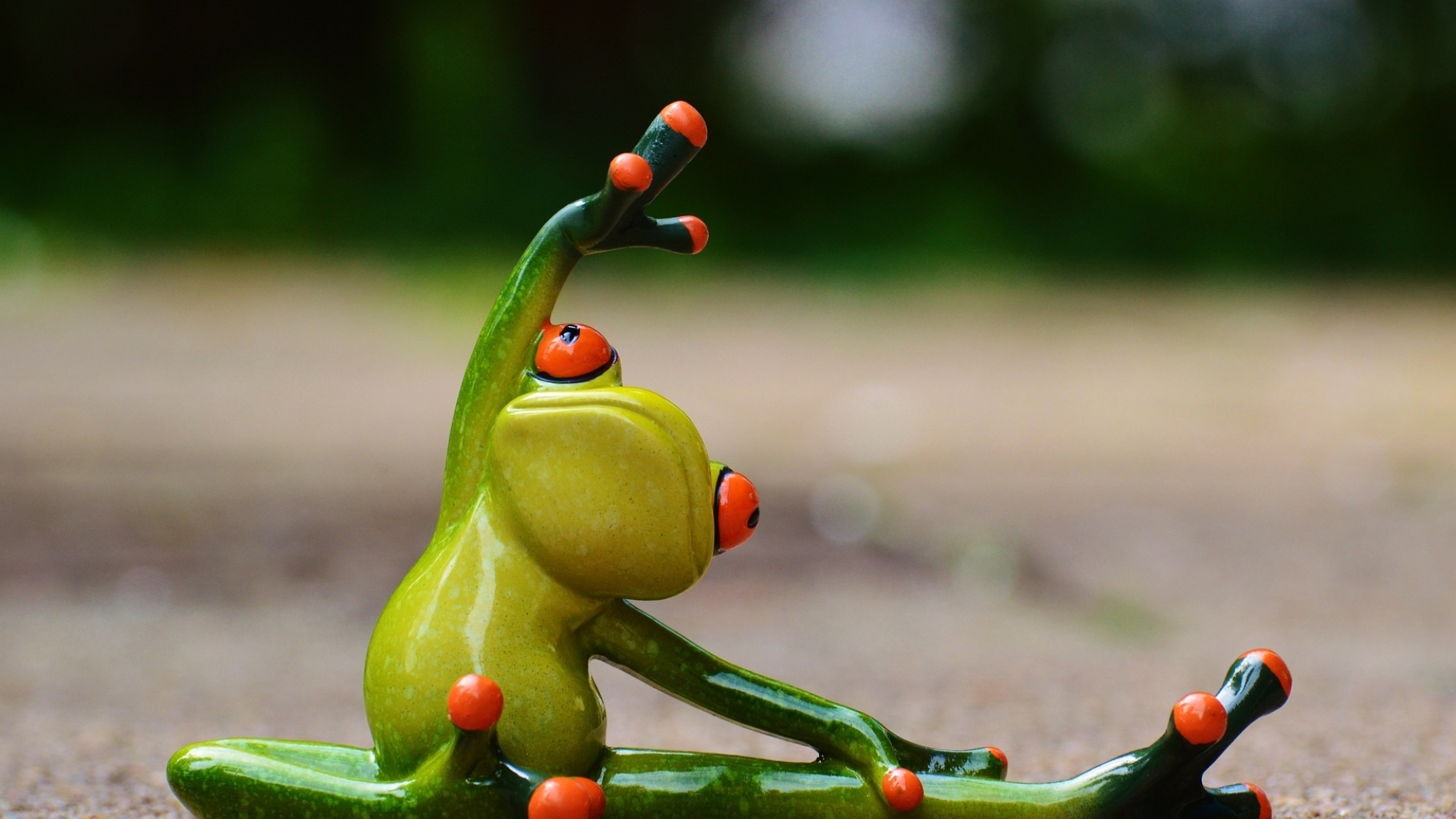 Frosch macht Gymnastik