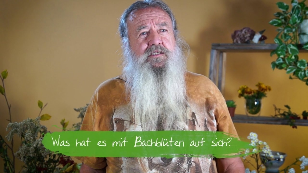 Was hat es mit Bachblüten auf sich? 