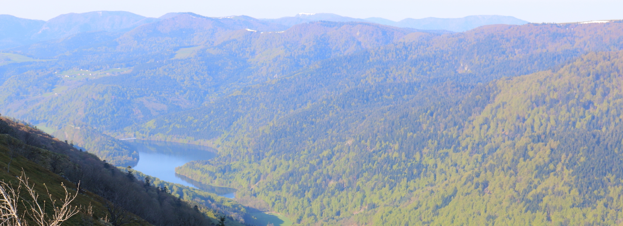Naturpark Ballons des Vosges