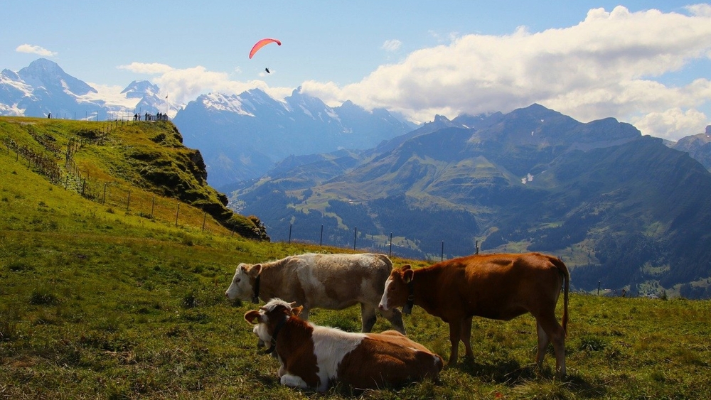 Gleitschirmfliegen in den Bergen