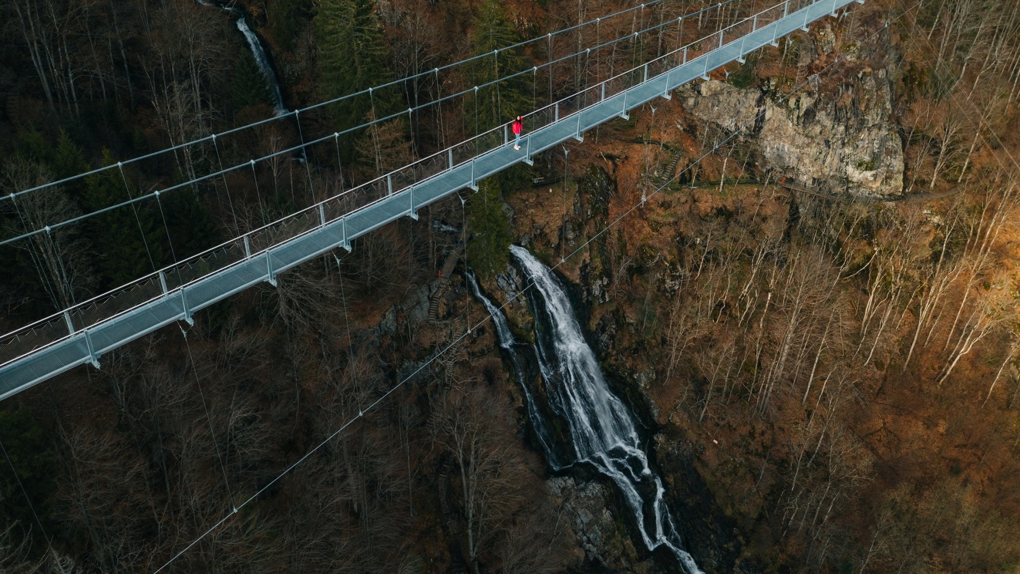 Blackforestline Hängebrücke