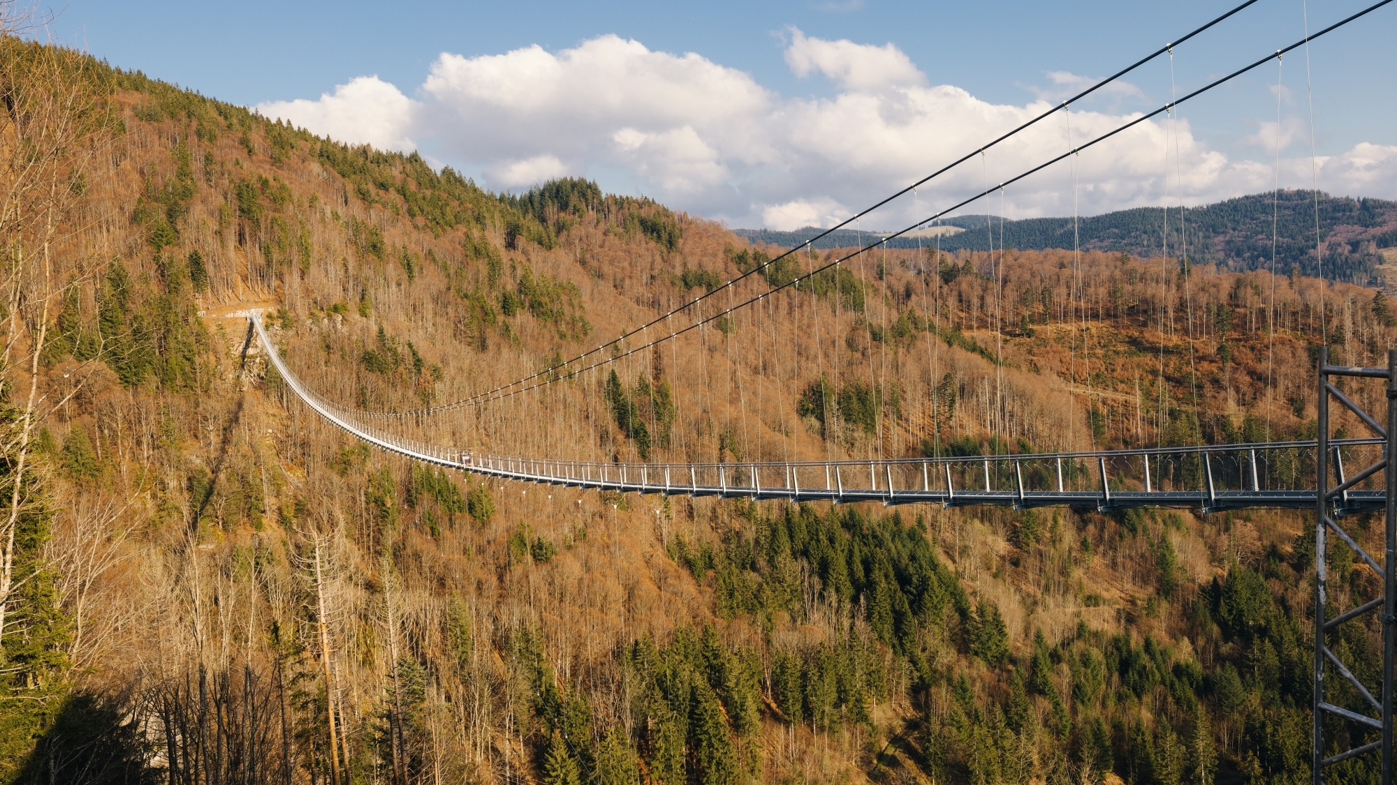 Blackforestline Hängebrücke