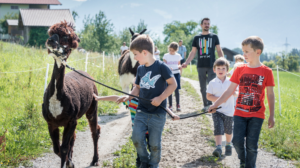 Unterwegs mit Alpakas