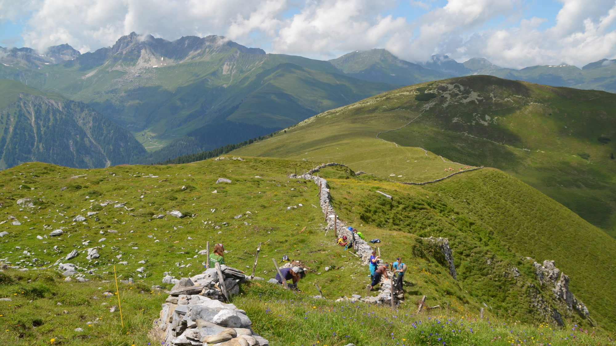 Steinmauer Loschbodenalm im Naturpark Zillertal