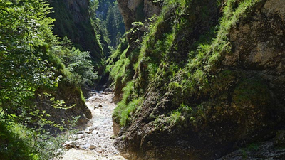 Blick in die Almbachklamm