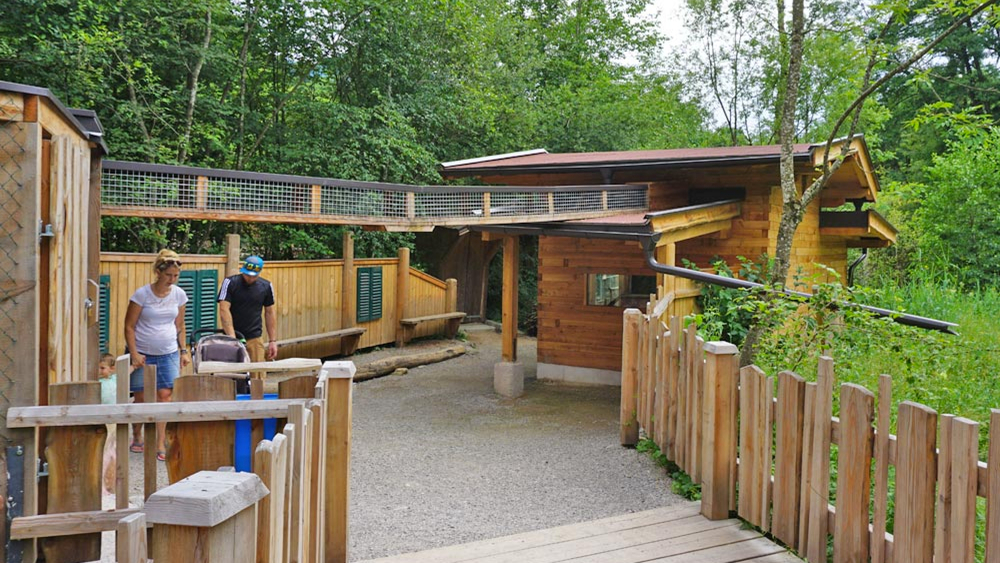 Teil des Nasenbärgeheges im Raritätenzoo Ebbs