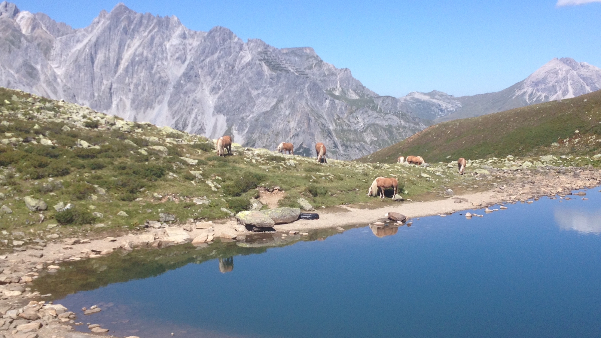 Badesee an der Kaltenberghütte