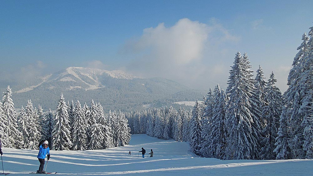 Piste auf der Winklmoosalm
