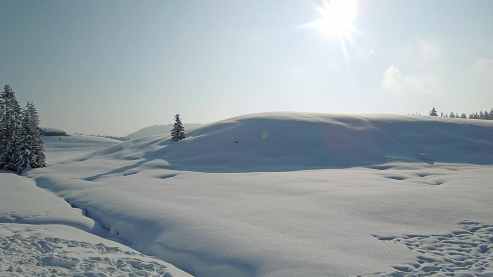 Winterlandschaft auf der Winklmoosalm