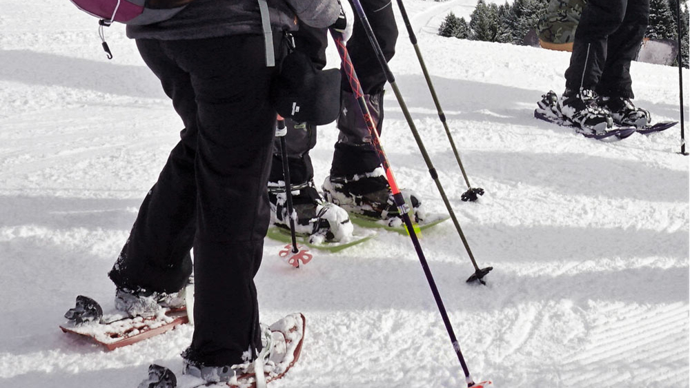 Leki Stöcke bei der Schneeschuhwanderung