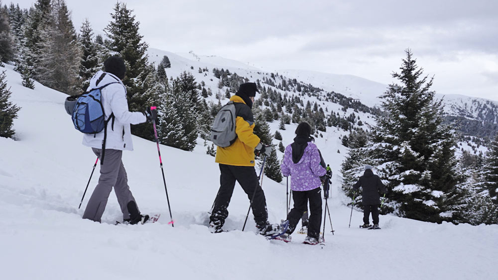 Mit Stöcken unterwegs auf der Plose