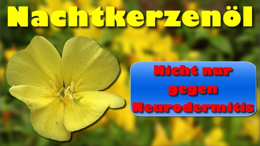 Nachtkerzenöl - nicht nur gegen Neurodermitis wirkt Nachtkerzenöl
