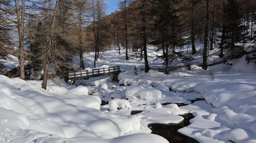 Lanzinsertal bei Pfelders