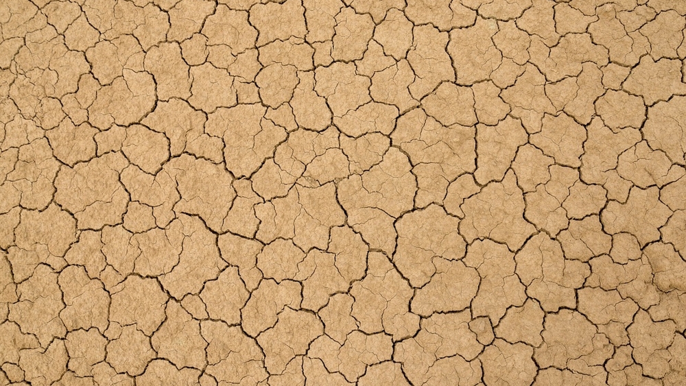 Heilerde enthält wertvolle Mineralien wie Eisen, Kalium, Kalzium, Magnesium, Silizium und Zink.