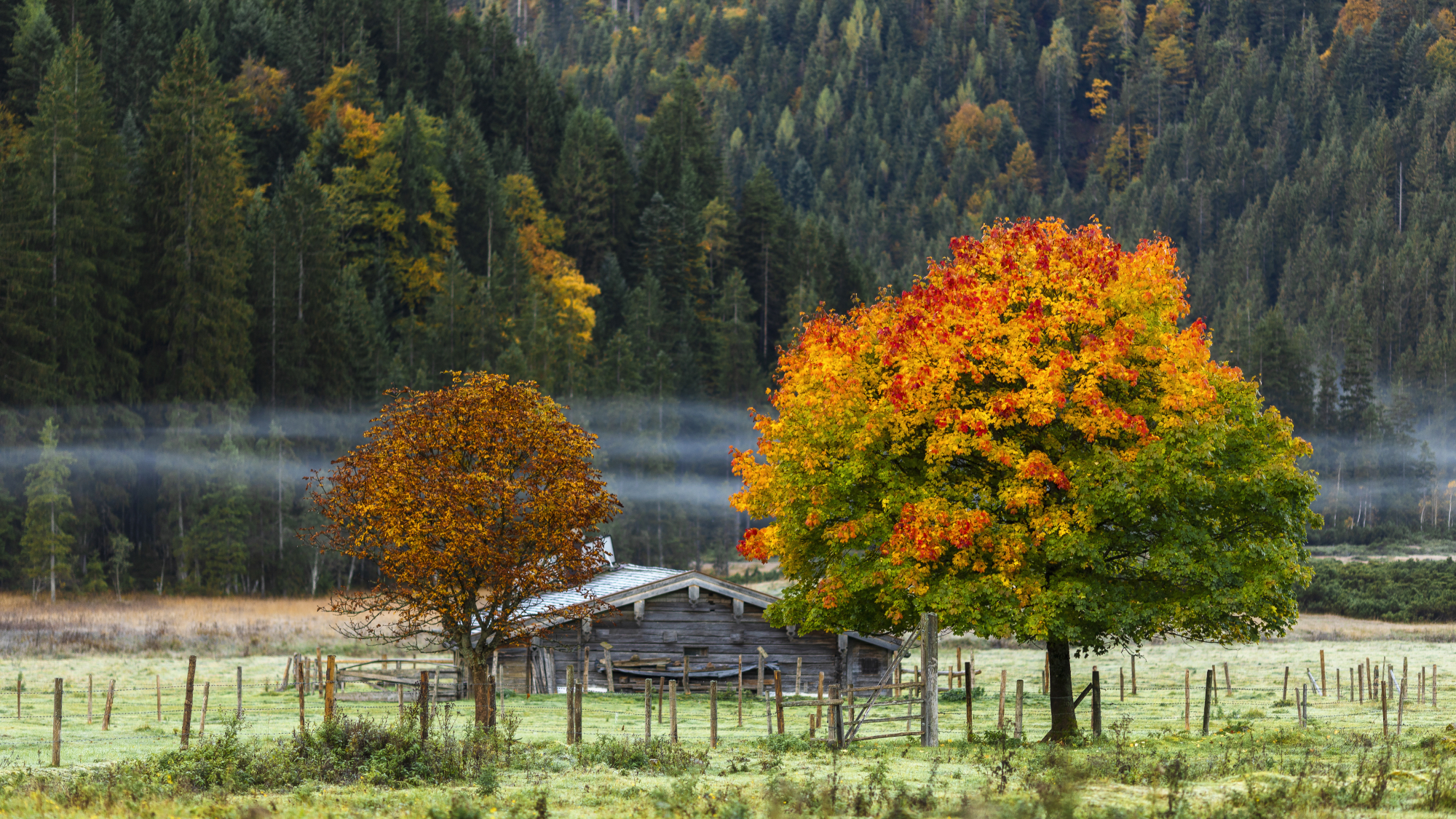 Die Chiemgauer Almlandschaft in spätsommerlicher Farbenpracht