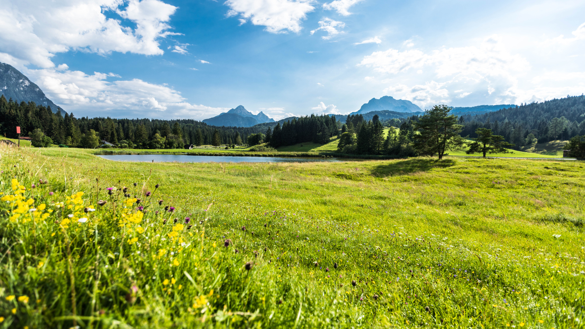 Spitzenwanderweg am Schmalensee