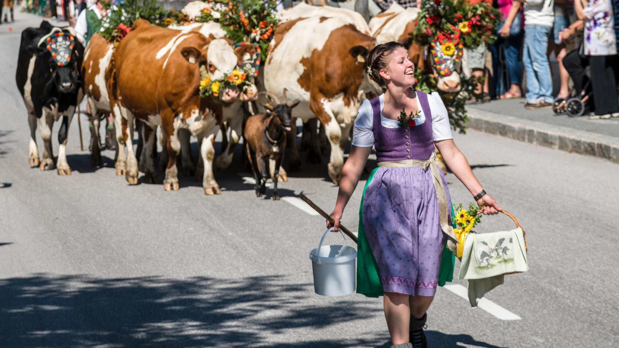  Filzmoos feiert am 18. September den traditionellen Almabtrieb. Die Vorbereitungen für den Almabtri