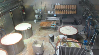 Abschöpfen des Käses in der Erlebnissennerei Zillertal