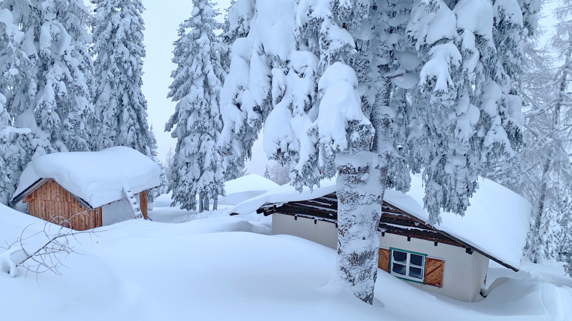 Hütte Hauser Kaibling