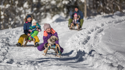Artikelbild: Rodeln im Salzburger Land: Unsere Rodelbahn-Tipps