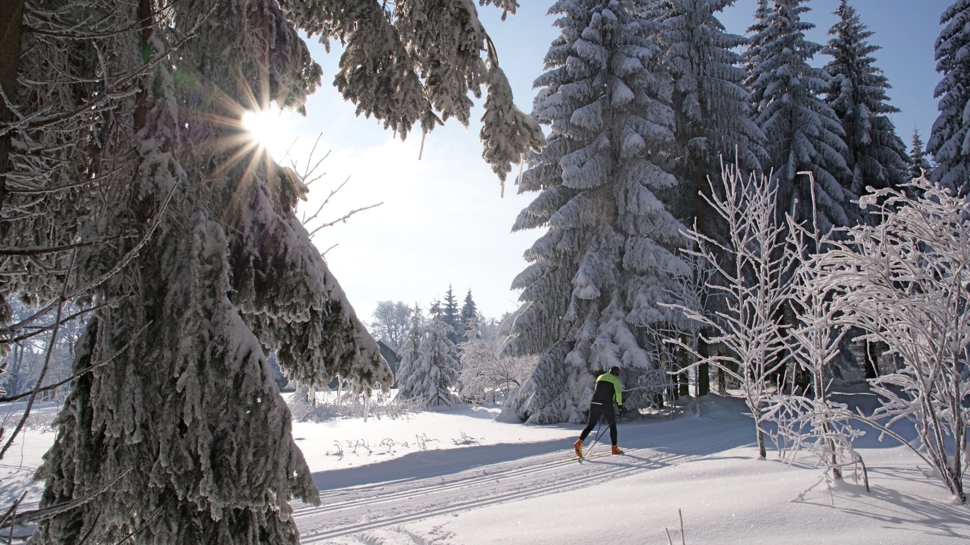 Langlaufen in Sankt Englmar