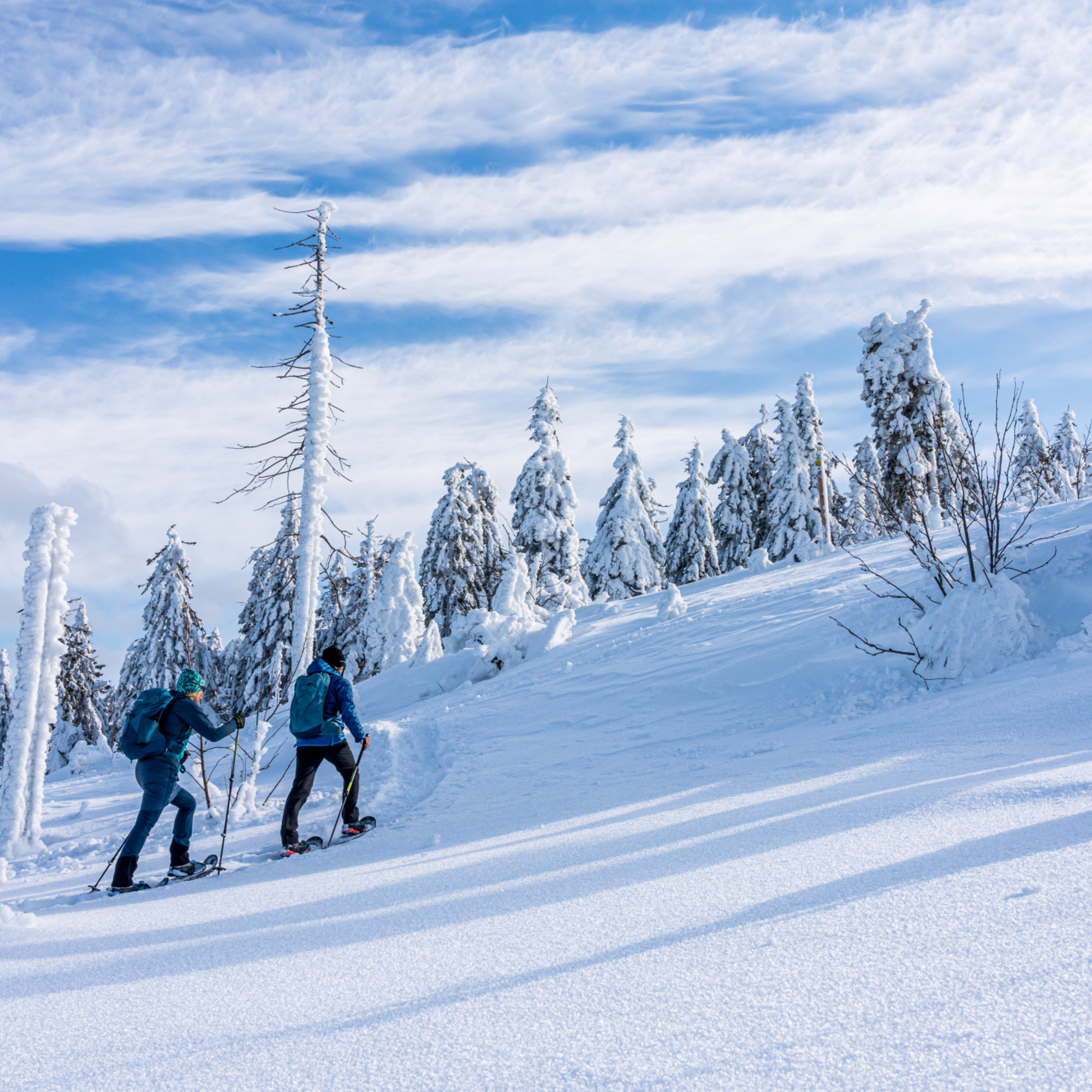 Schneeschuhwandern im Bayerischen Wald