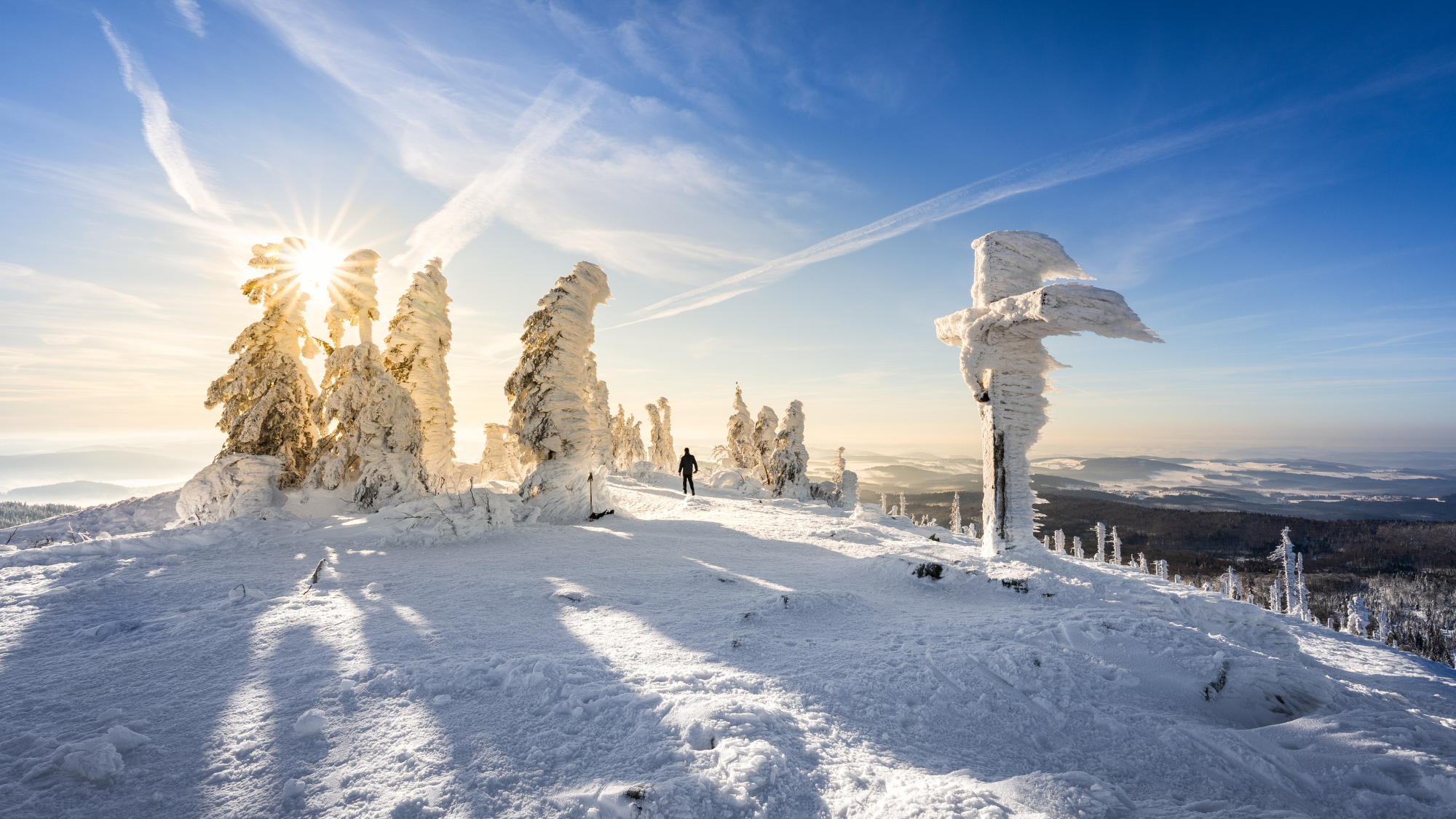 Winter im Bayerischen Wald