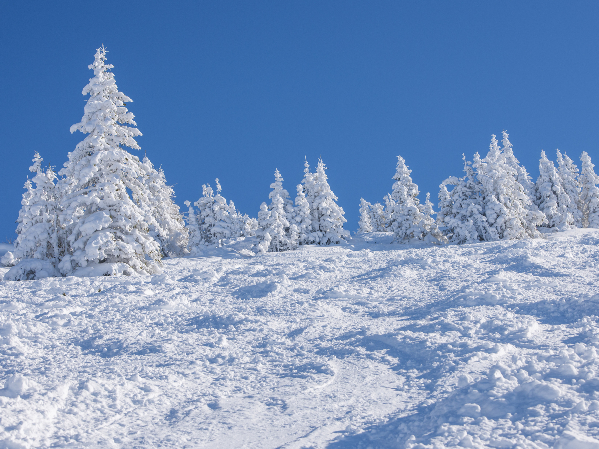 Typisch bayerisch: Der Chiemgauer Winter ist ein weiß-blauer Traum.