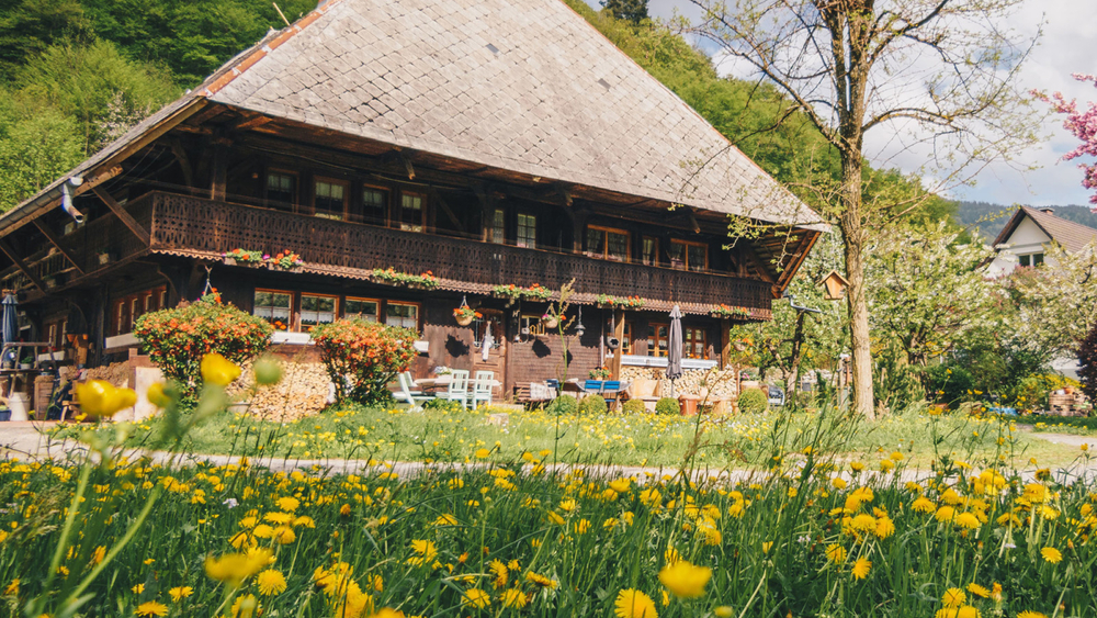 Schwarzwaldhaus im Wiesental