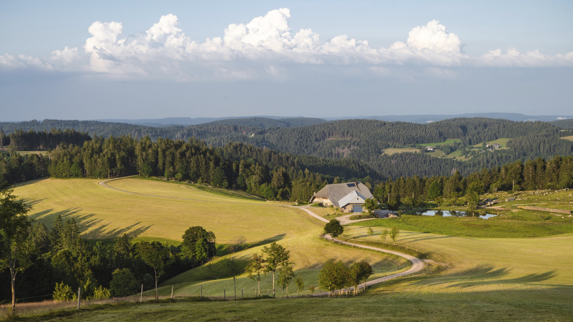 Genießerpfad Uhrwaldpfad: Rohrhardsberg in Schonach