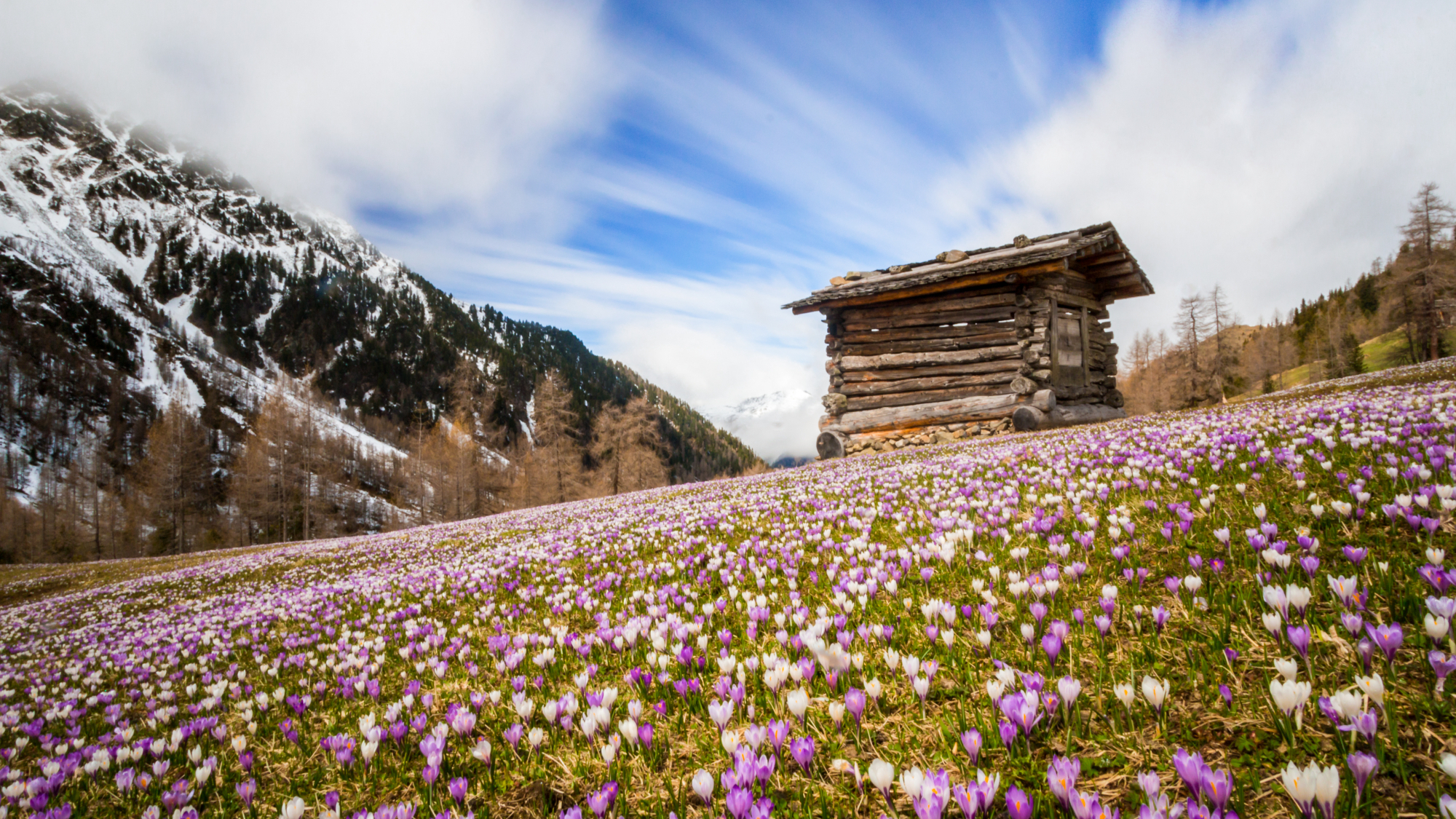 Frühling im Gsieser Tal