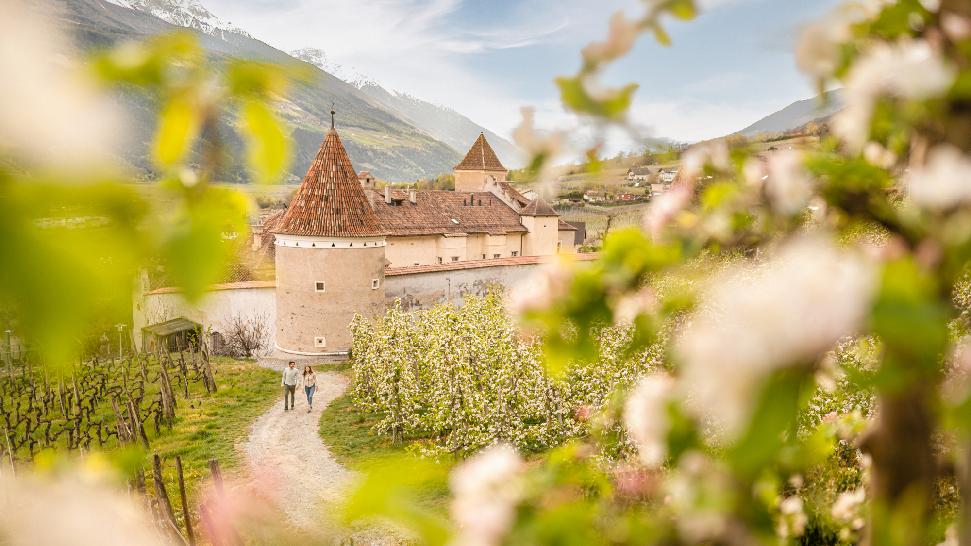 Frühling im Vinschgau