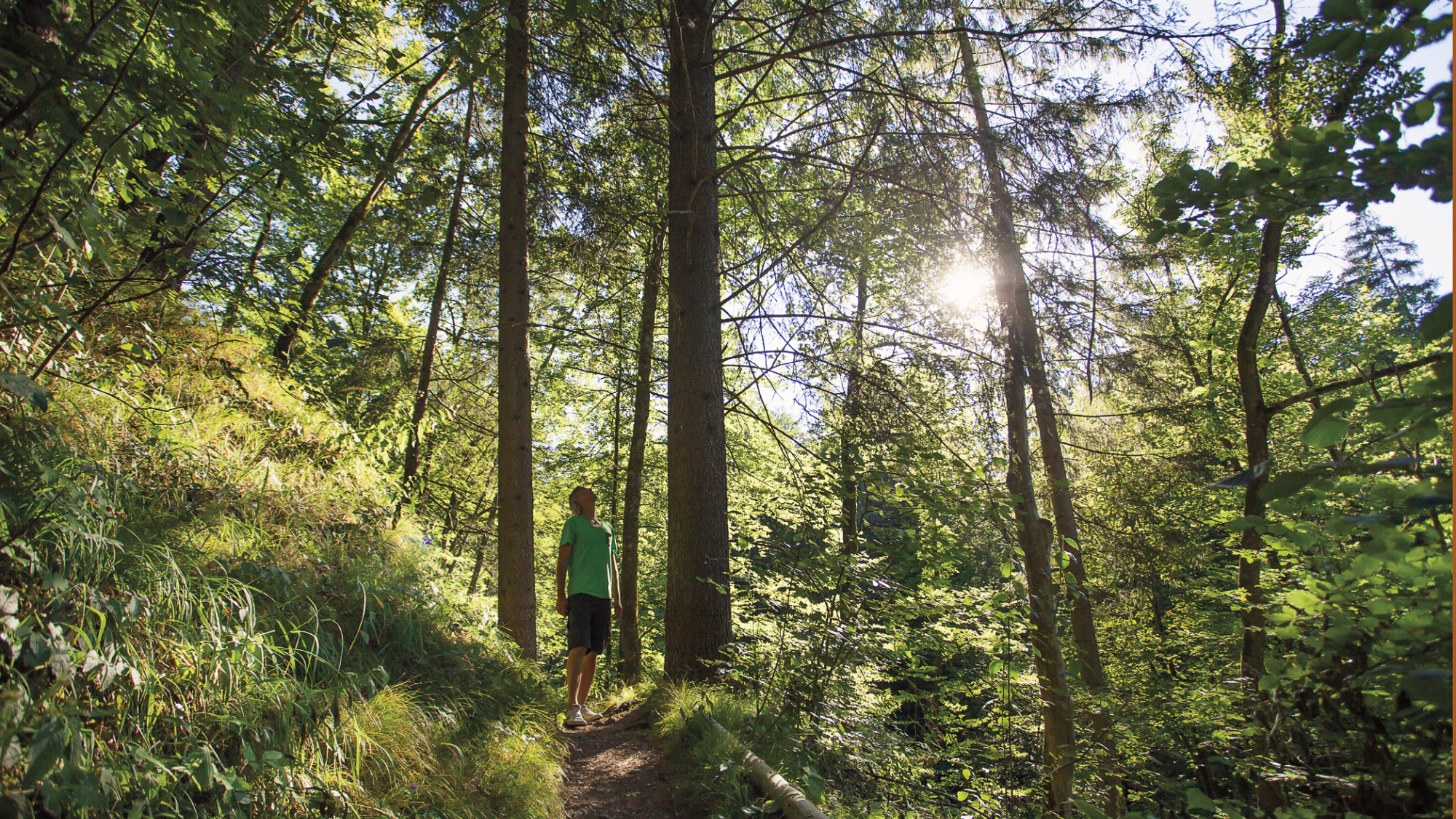 An der Iller entlang