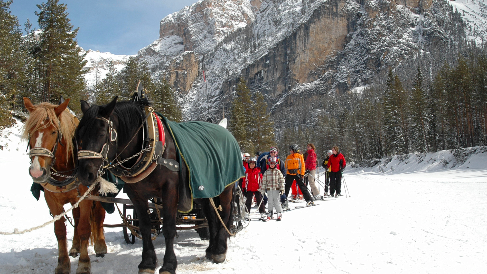 Das bleibt unvergesslich: Die Fahrt mit dem Pferdegespann zum Lift in Armentarola!