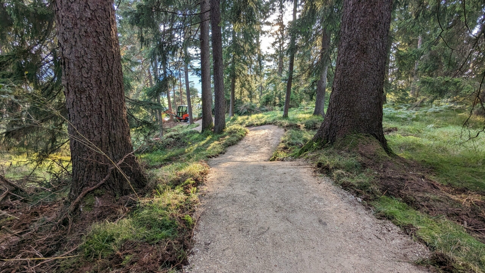 Trail in der Trailarea Urisee