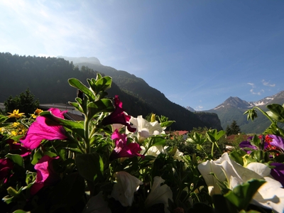 Mit welchen Erlebniskarten kann man richtig viel sparen im Alpenurlaub?