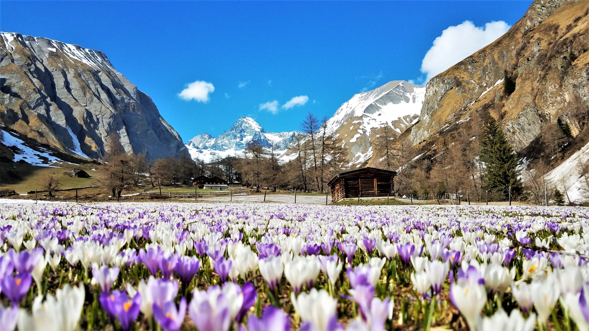 Das Lucknerhaus mit Blick auf den Großglockner ist Ziel des Adlerwegs
