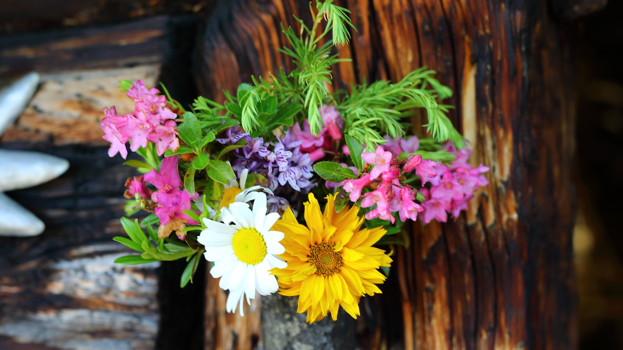 Unterwegs auf dem Salzburger Almenweg