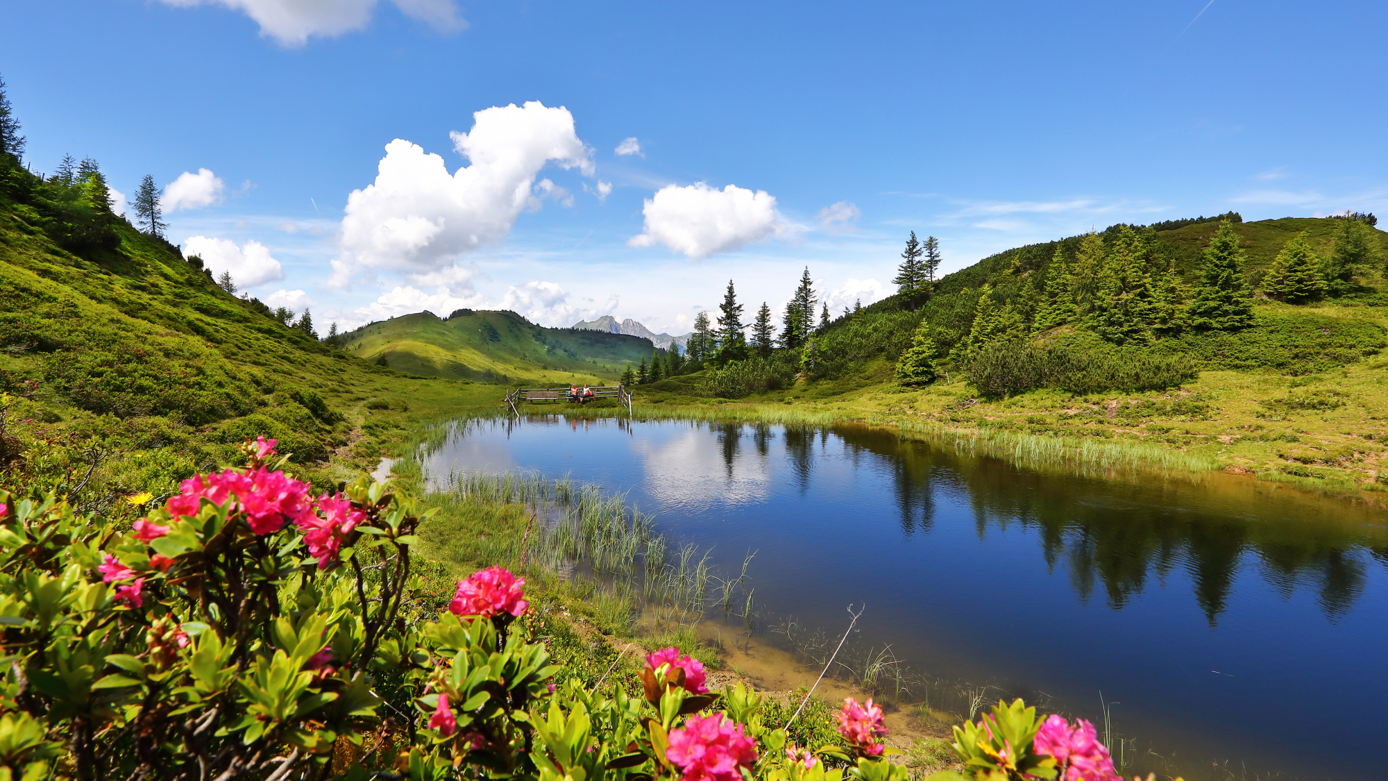 See auf dem Salzburger Almenweg