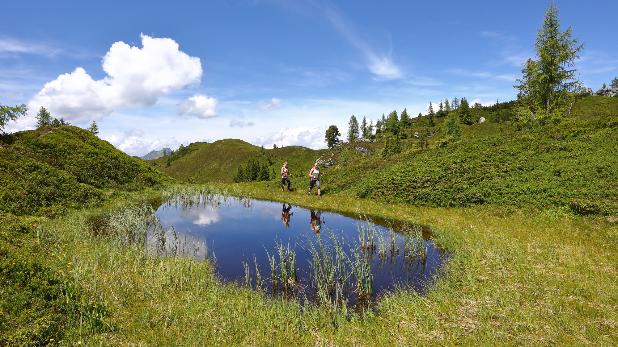Der Salzburger Almenweg ist gesäumt von Almenwiesen, wunderschönen Hütten und Seen