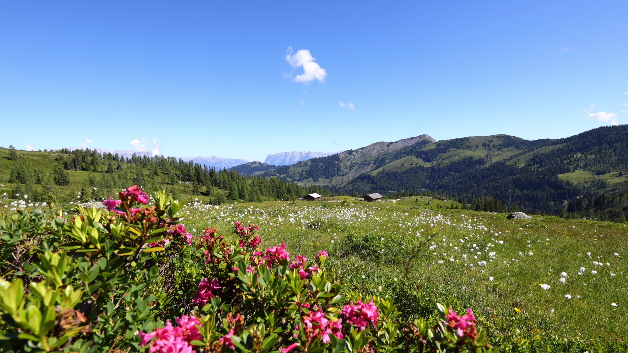 Wanderung Tröge mit Gründegg