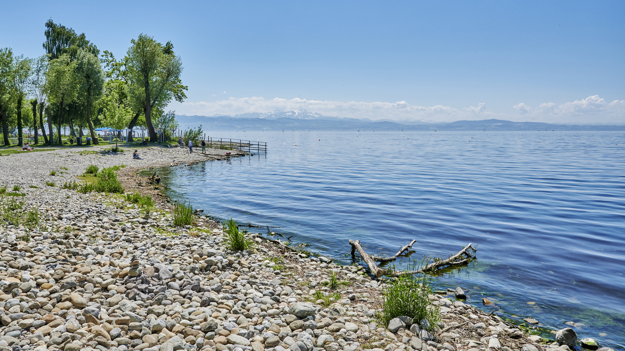 Ufer am Bodensee
