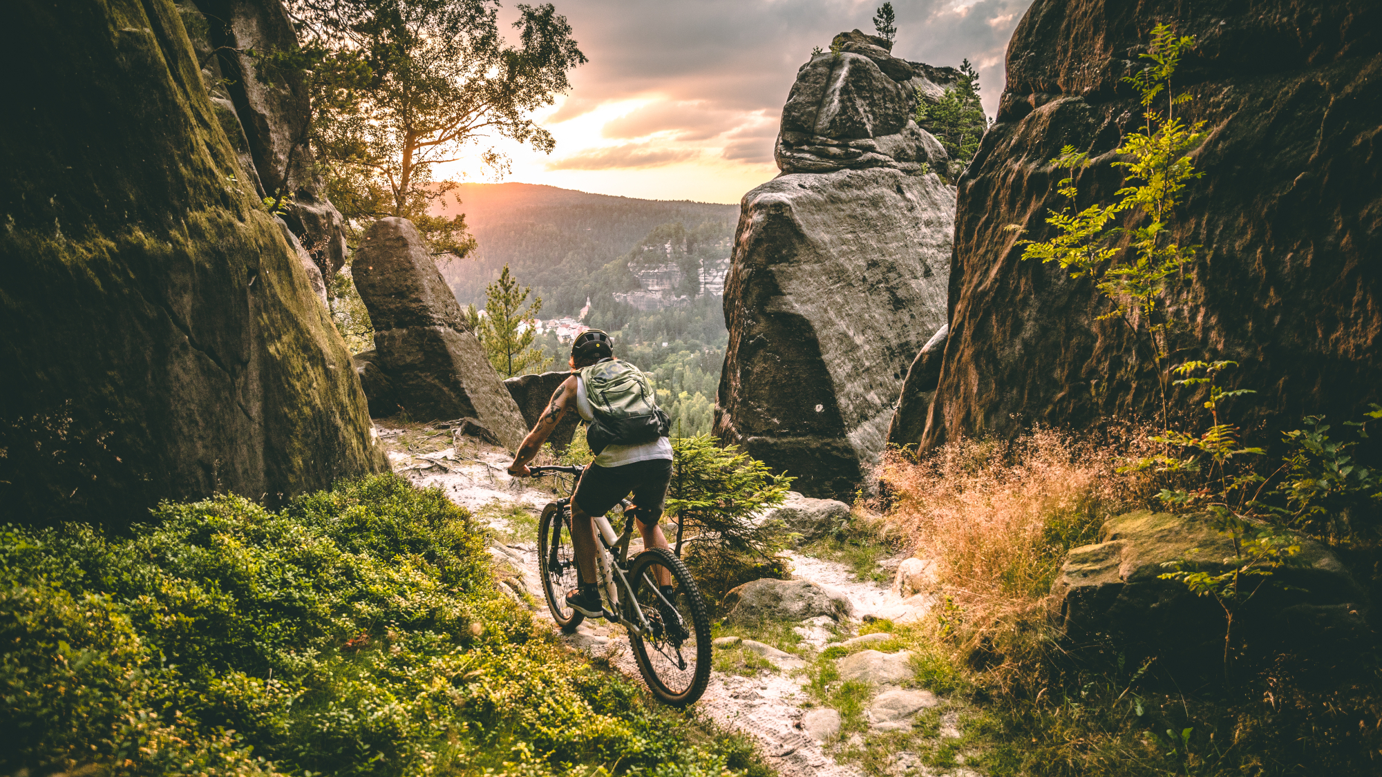 Mountainbiken in Sachsen
