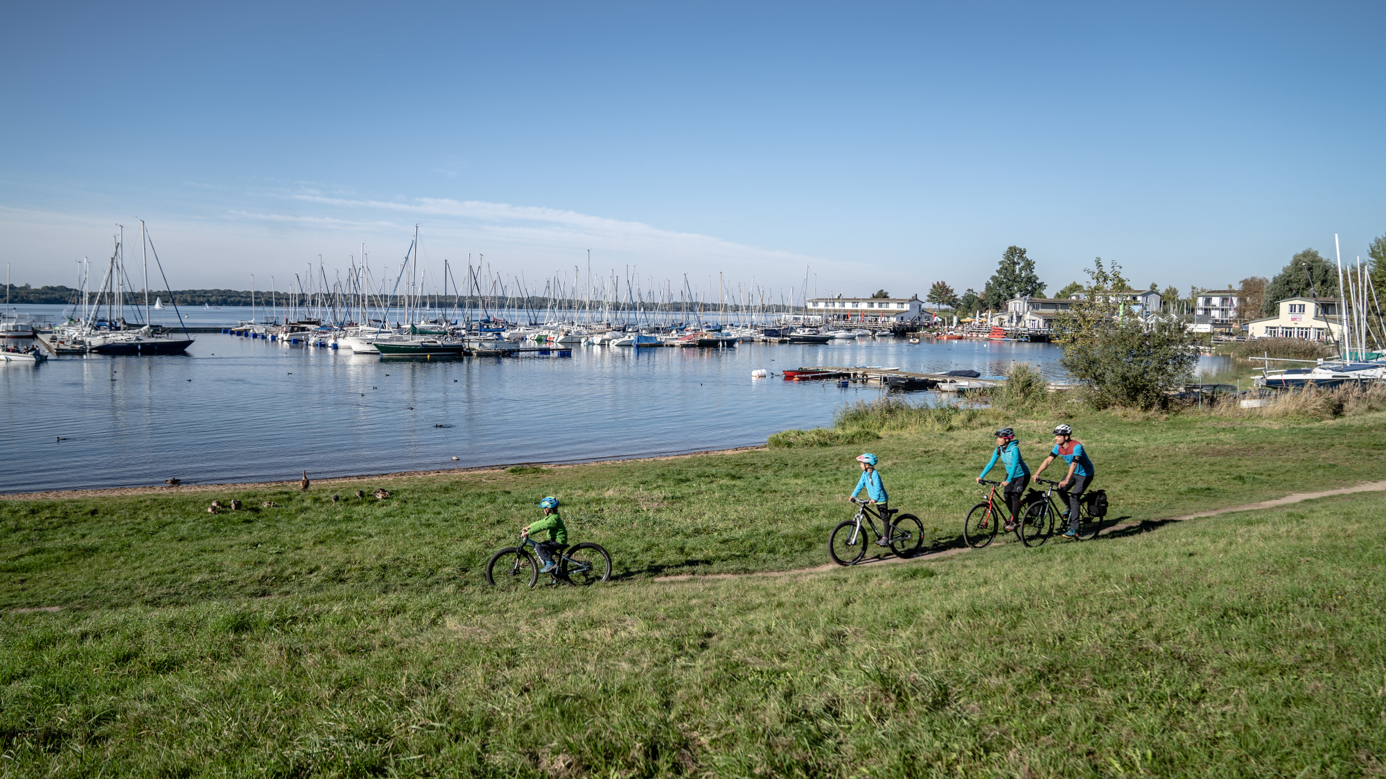 Neuseenland Radroute: Am Cospudener See