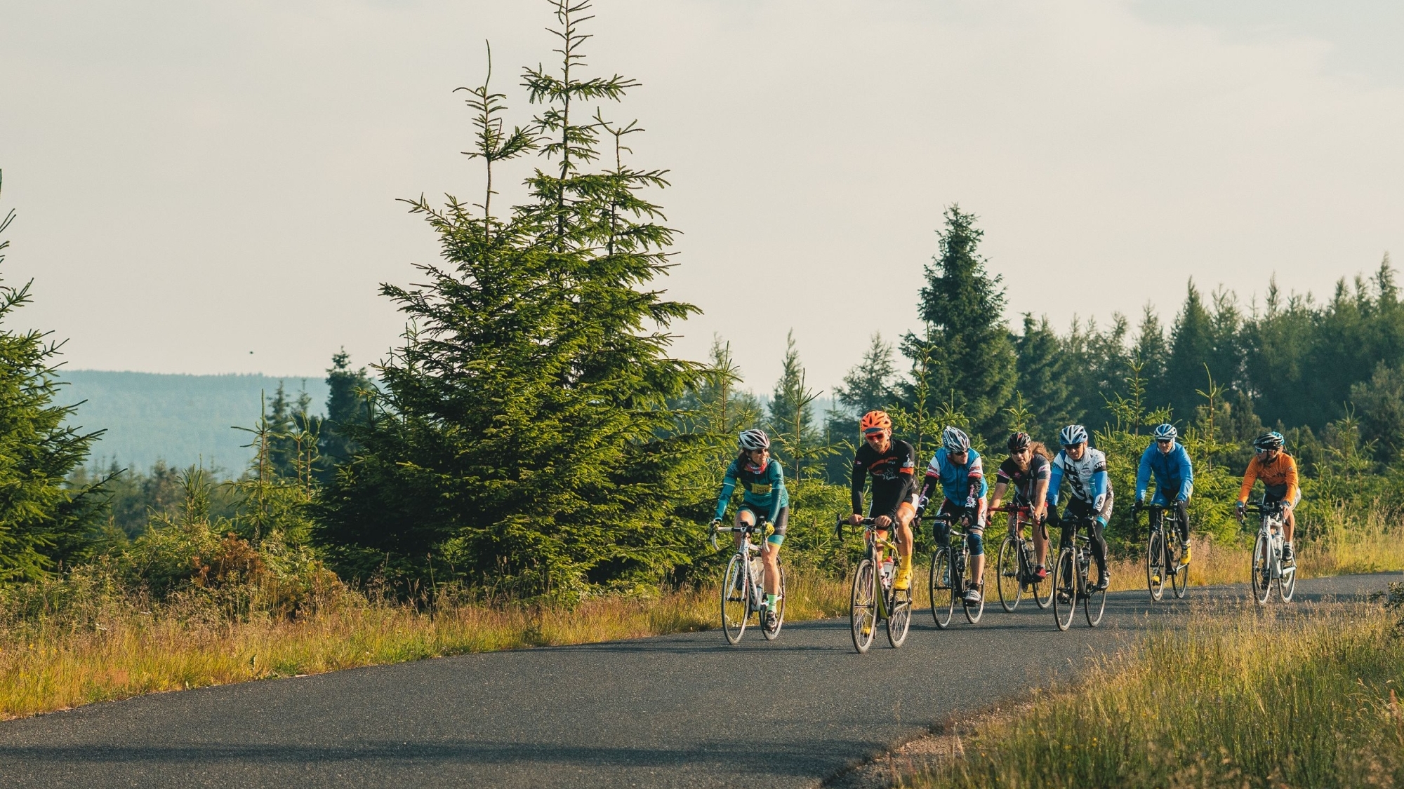 Stoneman Miriquidi Road