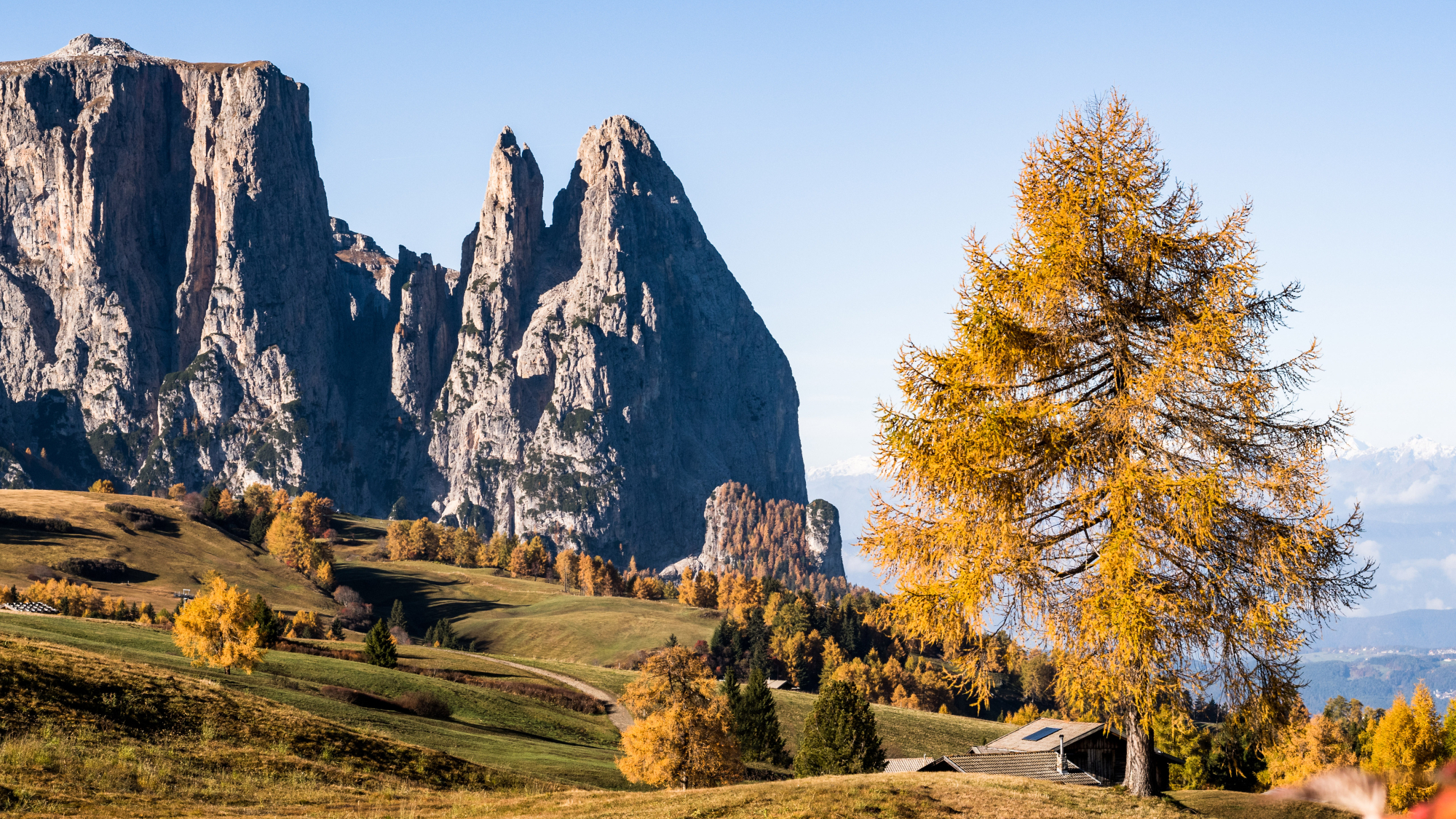 Ausblick auf der Seiser Alm