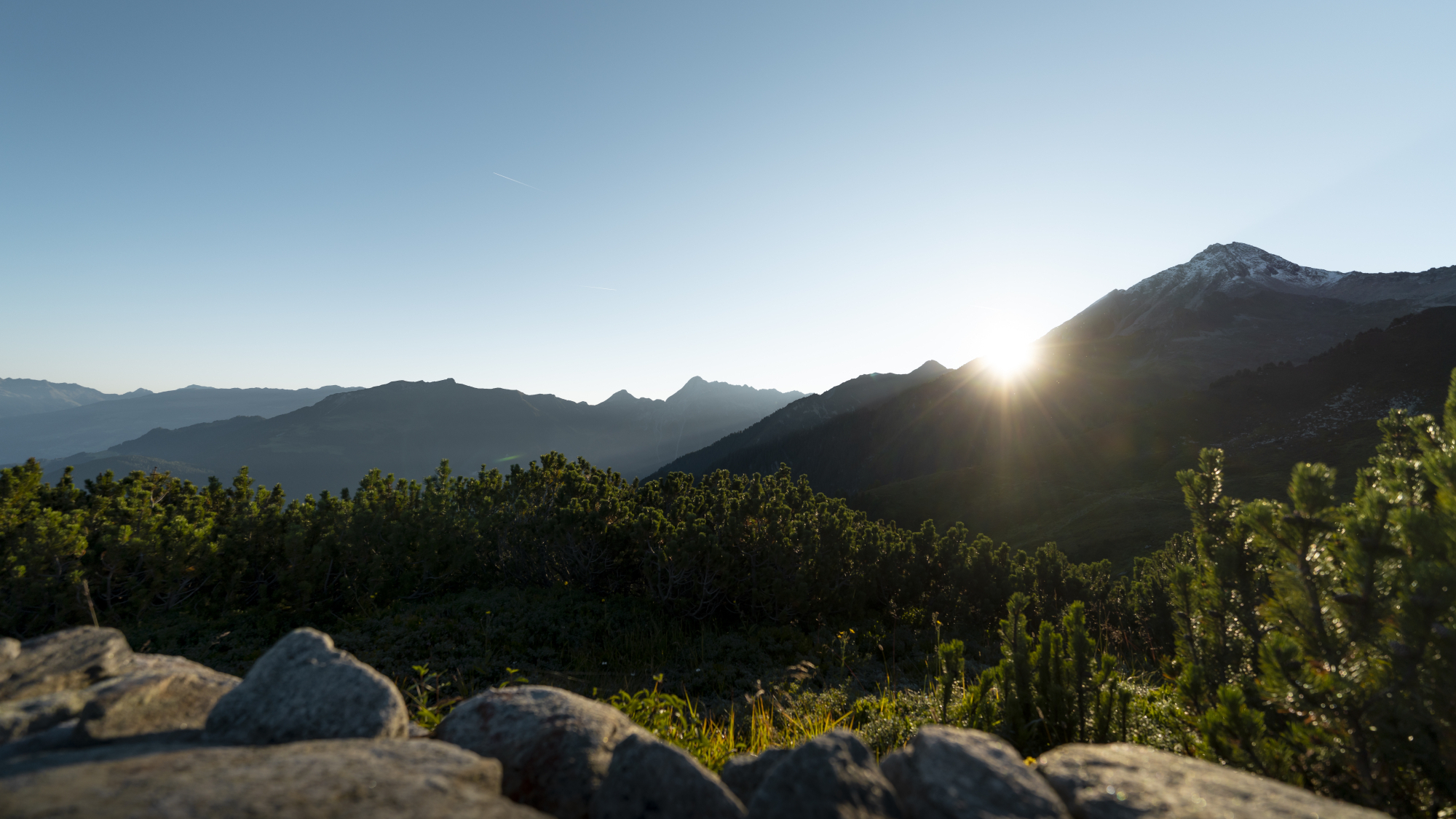 Sonnenaufgang am Ahorn