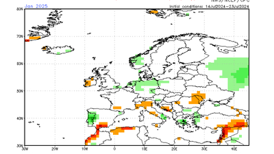 CFSv2 forecast monthly: Niederschlags-Abweichung Januar 2024 / Stand: 25. Juli 2024